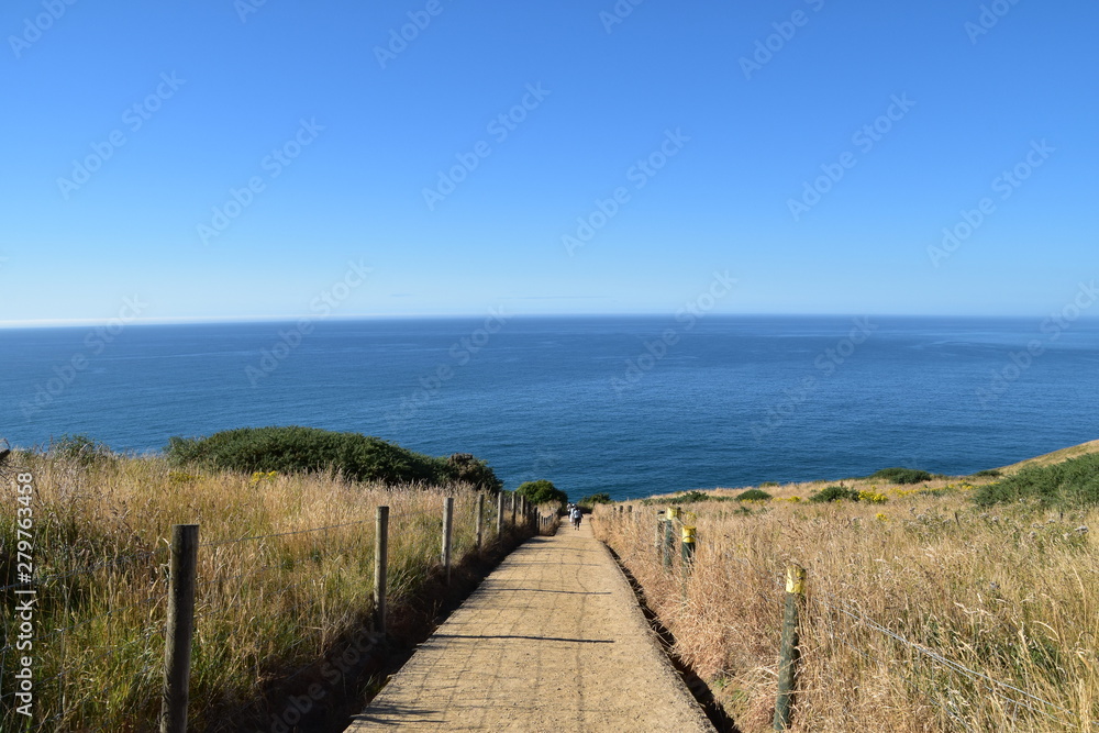 Fototapeta premium Tunnel beach in Dunedin, NewZealand