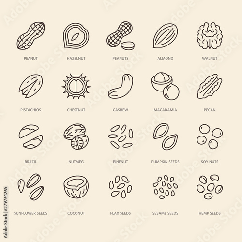 Nuts flat line icons set. Peanut, almond, chestnut, macadamia, cashew, pistachio, pine seeds vector illustrations. Outline signs for healthy food store