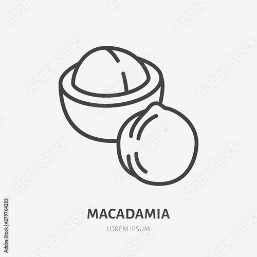 Macadamia flat line icon. Vector thin sign of nut, healthy food outline illustration