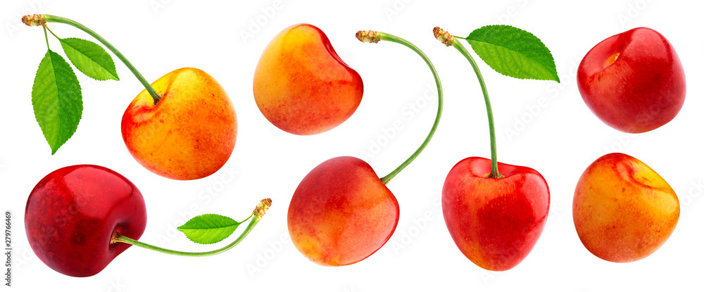 Yellow cherries with stems and leaves isolated on white background Yellow cherries with stems and leaves isolated on white background