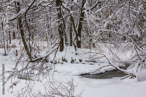 Winter forest landscapes with fleeting river