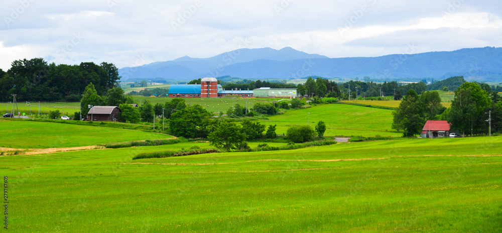 Beautiful rural scenery at summer day
