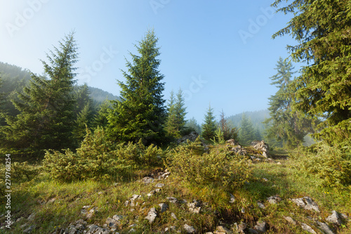 Landscape of Rhodope mountain, Bulgaria