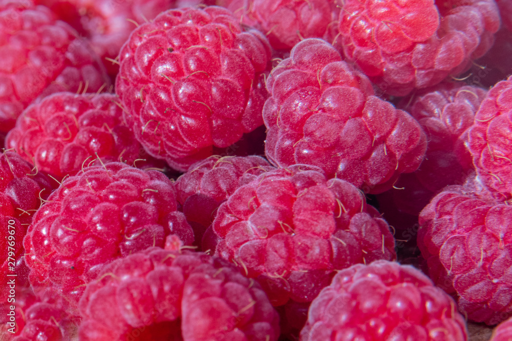 Fresh organic raspberries background closeup Fresh organic raspberries background closeup
