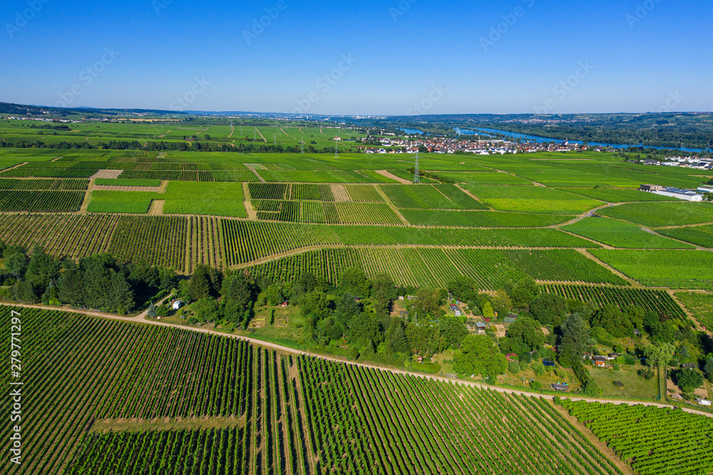 Weinberge im Rheingau von oben