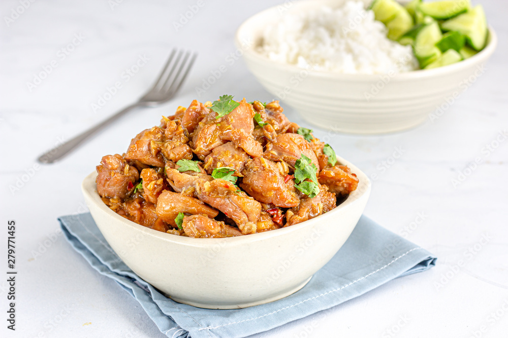 Stir Fried Chicken in a White Bowl on White Background. Chinese Style Cooked Chicken. Stir Fried Chicken in a White Bowl on White Background. Chinese Style Cooked Chicken.
