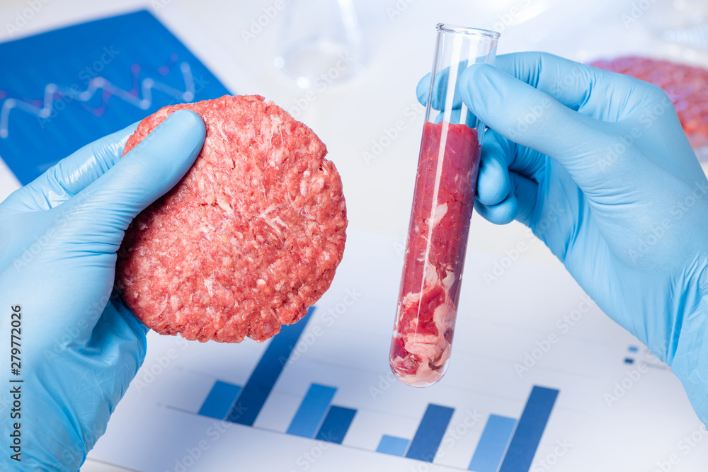 Ground meat sample burger patty in lab scientist hand. Clean artificial cultured meat in laboratory test tube concept. - obrazy, fototapety, plakaty 