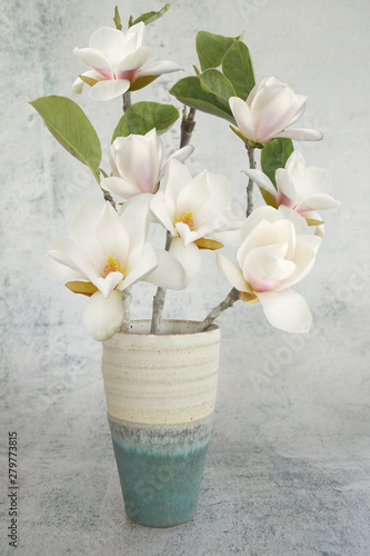 Beautiful white magnolia flower in vase photo