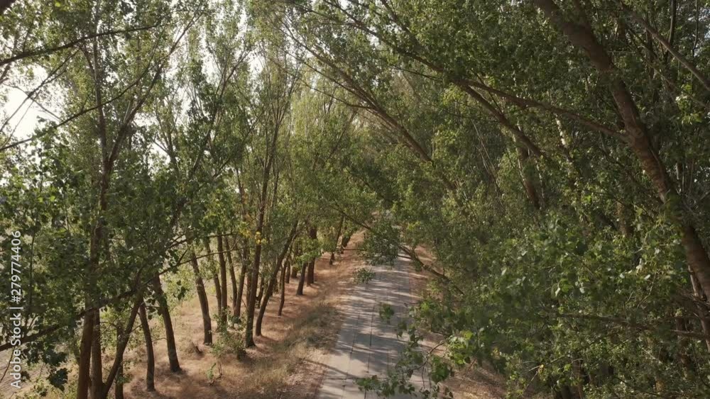 Amazing landscape with rural road, drone view. Aerial top view of asphalt road between green trees on summer day. Amazing landscape with rural road, drone view. Aerial top view of asphalt road between green trees on summer day.