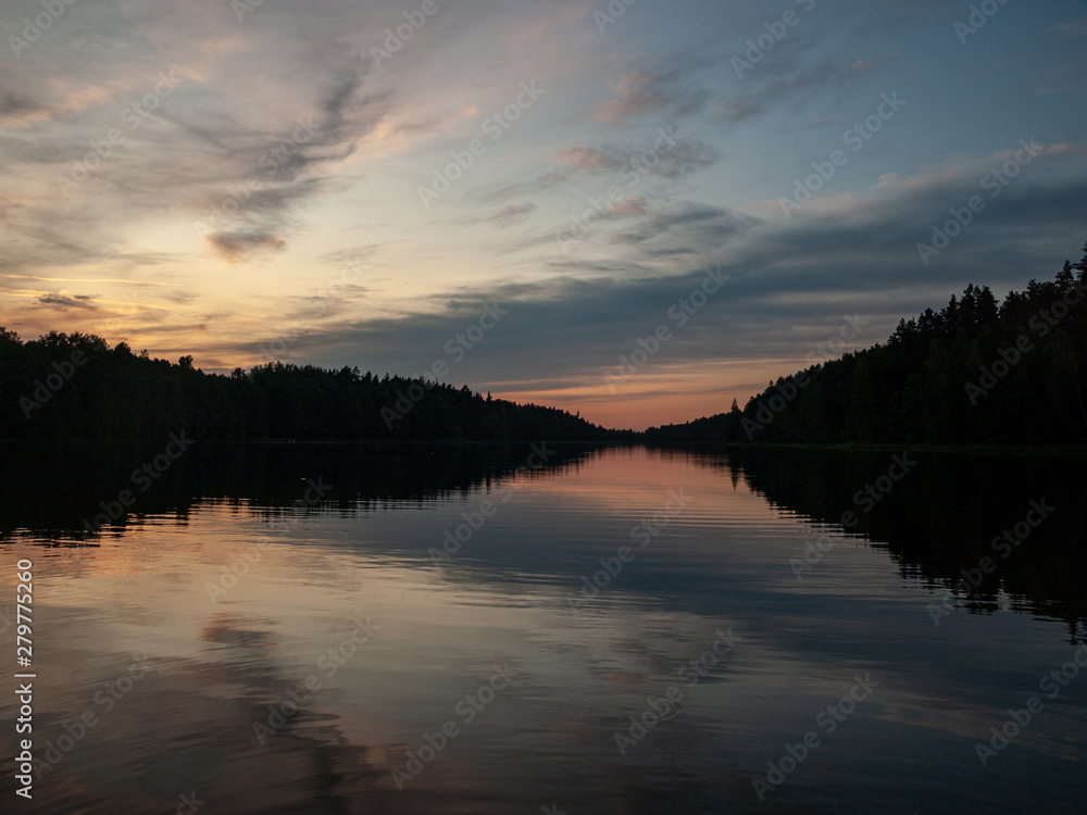 sky after sunset, dark forest silhouette, selective focus close up