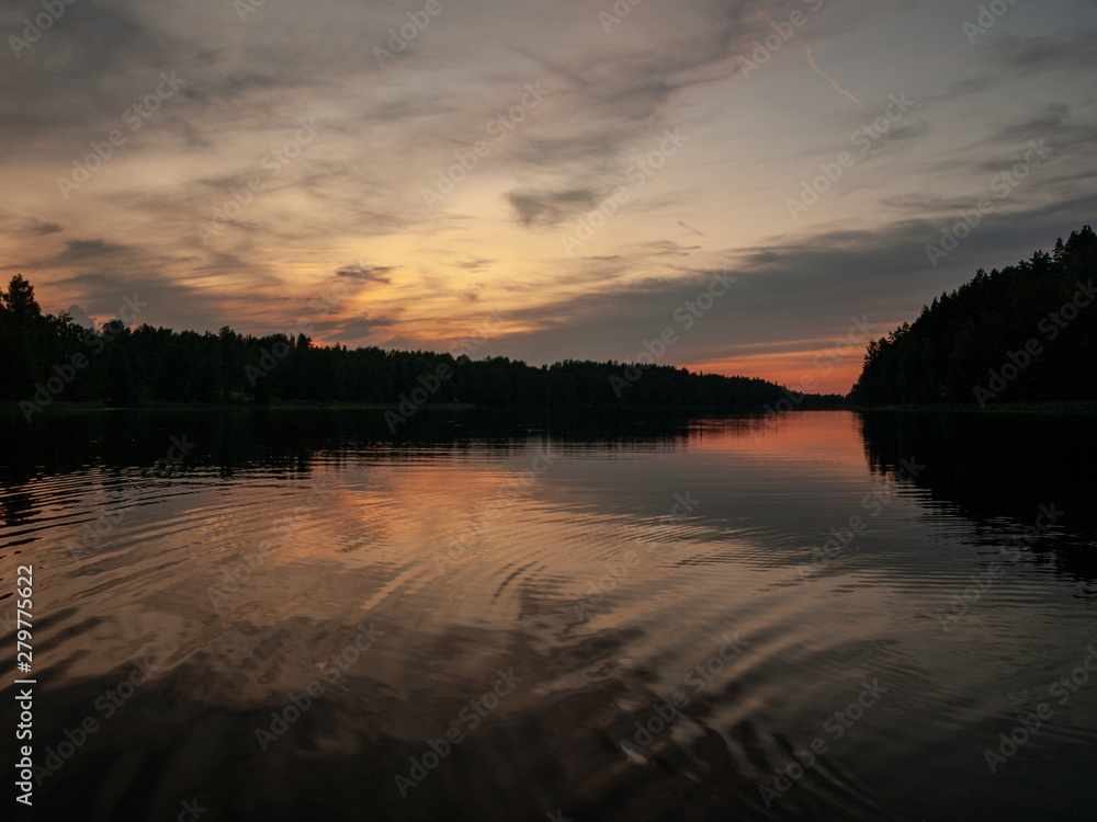 Obraz premium sky after sunset, dark forest silhouette, selective focus close up