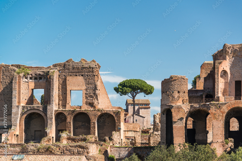 Rom - Der Zirkus Maximus, es sind nur noch reste vorhanden, die Ausmaße sind aber noch schön zu erkennen, gegenüber die Ruinen der Kauserpaläste auf dem Palatin-Hügel