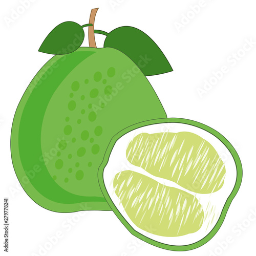 Pomelo fruit on white background is insulated