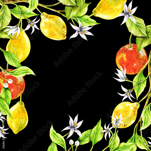 postcard drawn illustration with a marker of lemon  orange  leaves  twigs  flowers  buds on a black background for use in design  poster  banner  cover