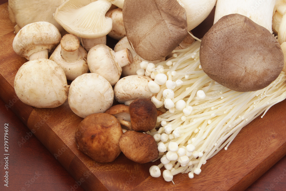 Variety of raw mushrooms on wooden board close up Variety of raw mushrooms on wooden board close up