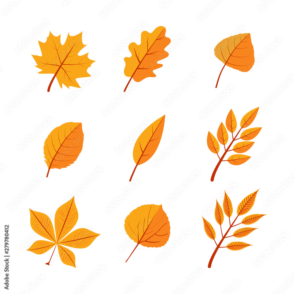 Autumn leaves flat vector illustrations set
