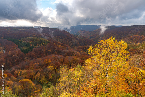 Autumn foliage scenery view, beautiful landscapes. Fall is full of magnificent colours. Entire mountain and valley is bathed in different hues of red, orange and golden colors background