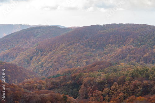 Autumn foliage scenery view, beautiful landscapes. Fall is full of magnificent colours. Entire mountain and valley is bathed in different hues of red, orange and golden colors background