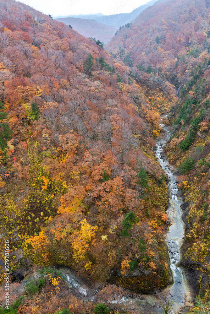 Autumn foliage scenery. Aerial view of valley and stream in fall season. Colorful forest trees background in red, orange, and golden colors Autumn foliage scenery. Aerial view of valley and stream in fall season. Colorful forest trees background in red, orange, and golden colors