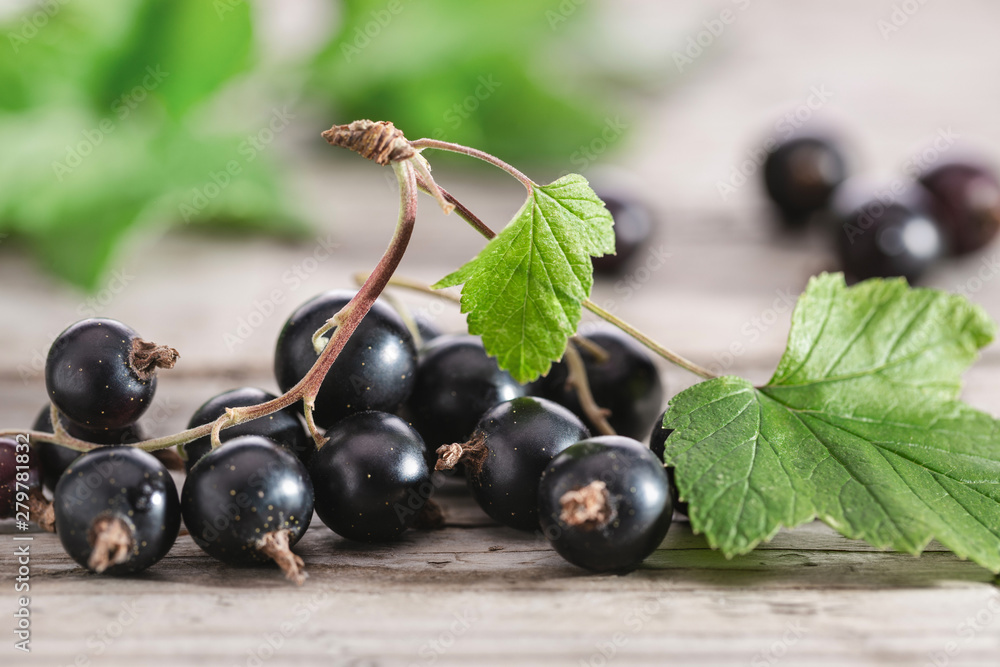Ripe black currant with leaves on an old wooden surface. Berries in summer. Close-up, copy space. Ripe black currant with leaves on an old wooden surface. Berries in summer. Close-up, copy space.