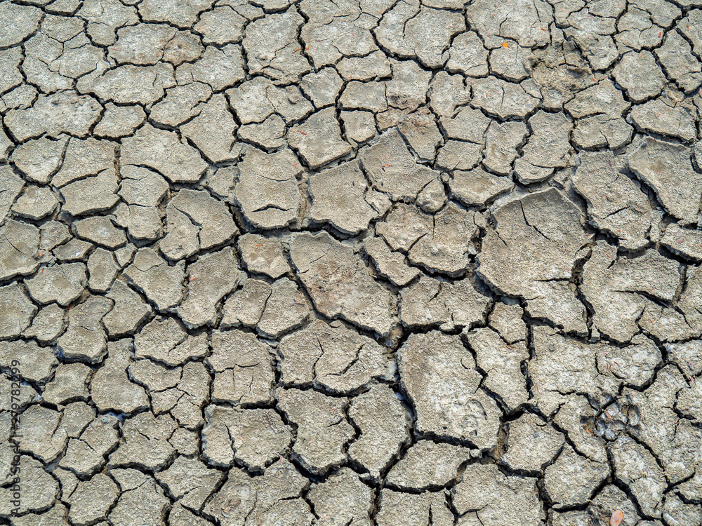 Dry earth covered with small cracks as drought and global warming concept. Cracked clay soil texture or ground pattern with cracks on surface top Dry earth covered with small cracks as drought and global warming concept. Cracked clay soil texture or ground pattern with cracks on surface top