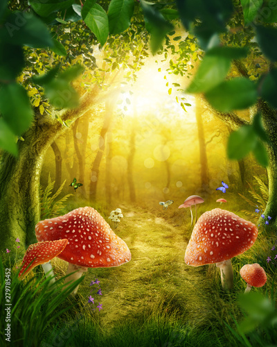 Ταπετσαρία Magic forerst