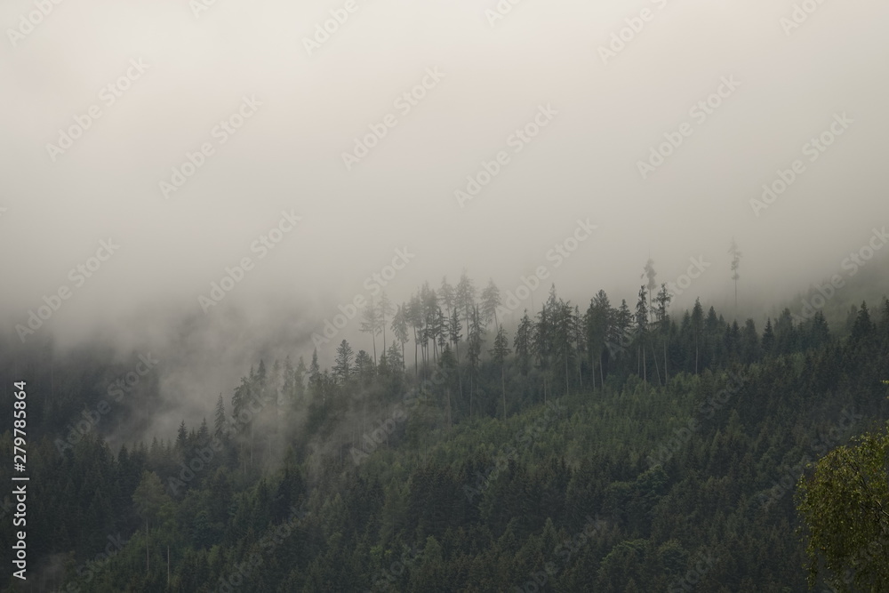rainy day with fog in the forest on the mountains rainy day with fog in the forest on the mountains