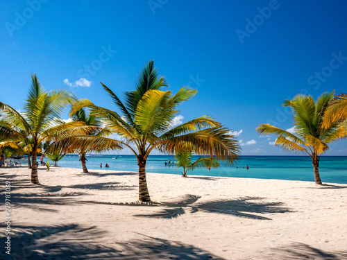 A peaceful Caribbean beach with sand and palm trees an idyllic place to escape and relax.