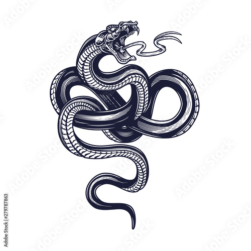 Canvas Print Snake