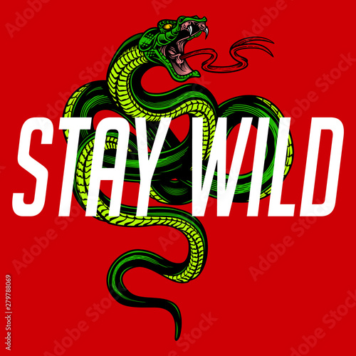 "Stay wild" - snake poster design. Vector hand drawn illustration of snake in engraving technique on red background. Modern fashionable tee shirt print or label design.