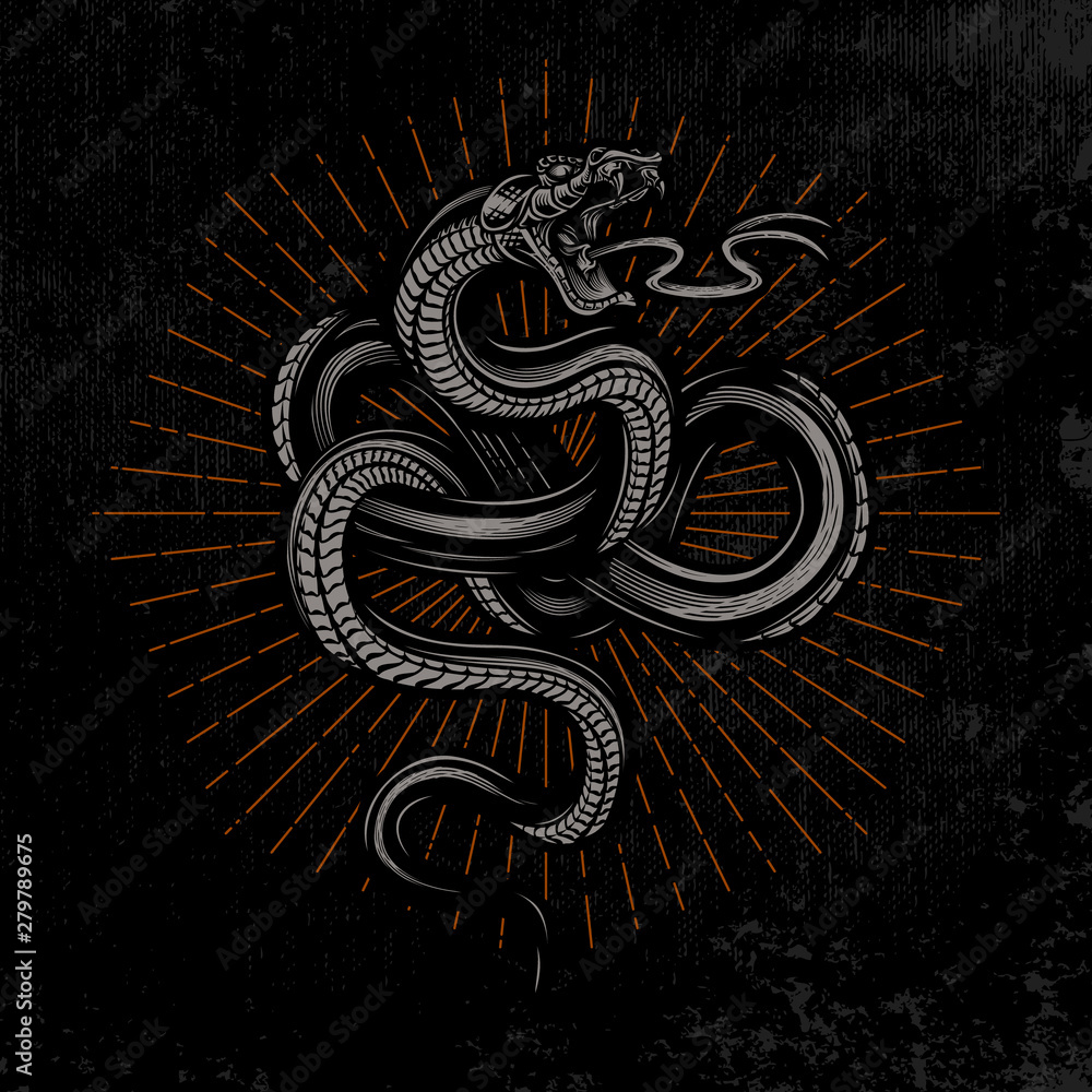 Snake poster. Hand drawn illustration in engraving technique with star ...