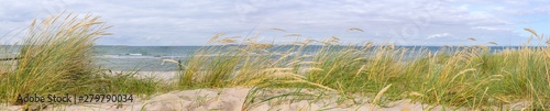 Panorama in den D  nen  Ostsee