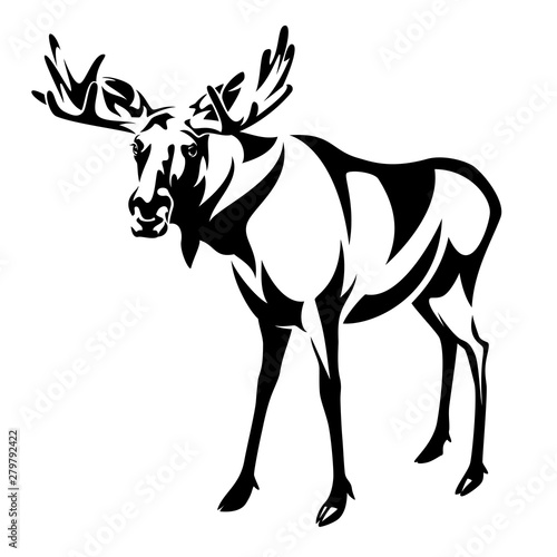 standing moose black and white outline - wild elk vector design