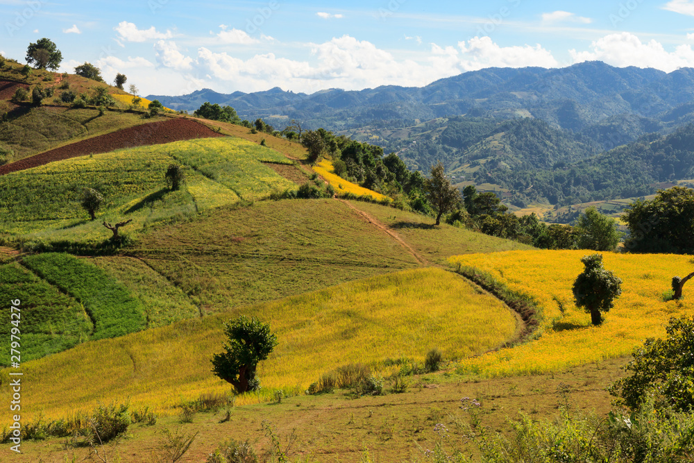 The breathtaking view of the colourful rolllings hills of the Kalaw highlands as seen when trekking from Kalaw to Inle Lake, Myanmar
