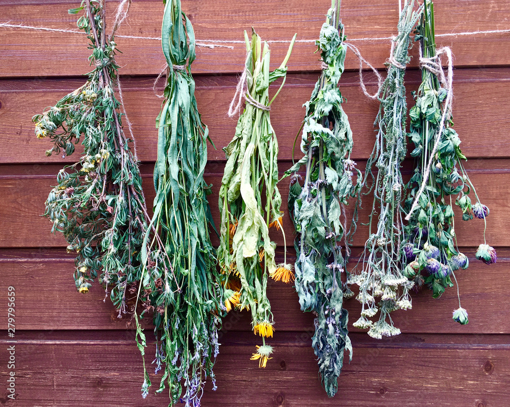 Φωτογραφία Dry medicinal plants for folk medicine and cosmetics: Motherwort, willow herb, Kuril tea, calendula, yarrow and clover flowers are dried on a rope on a wooden background