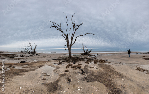 Botany Bay beach panorama at cloudy day, Edisto Island, South Carolina, USA photo