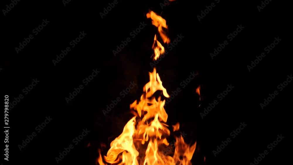 Close-up of burning fire, flames burning on black background, slow motion Close-up of burning fire, flames burning on black background, slow motion