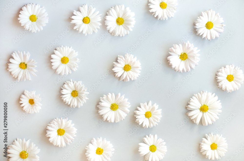 Trend flower pattern with daisies on a black background. Trend flower pattern with daisies on a black background.