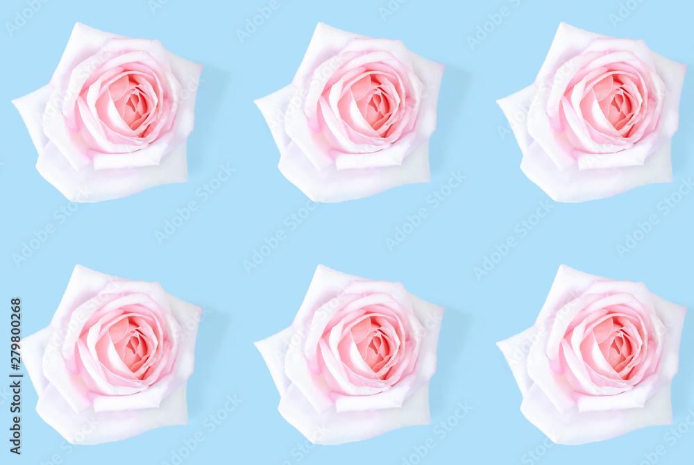 Pattern of pink roses on a blue background. Pattern of pink roses on a blue background.