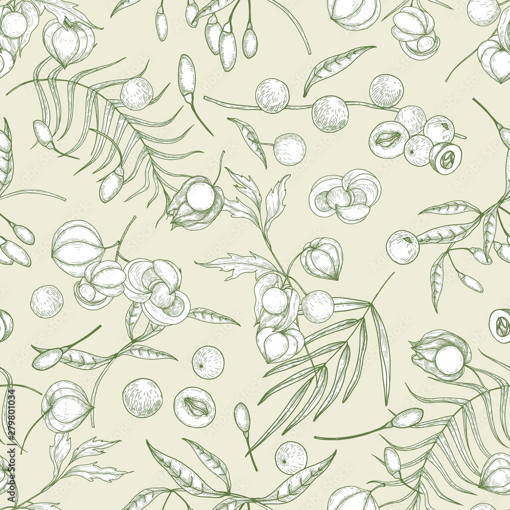 Fototapeta premium Natural seamless pattern with goji, acai, guarana, physalis fruits and berries hand drawn with contour lines on light background. Backdrop with superfoods. Botanical realistic vector illustration.