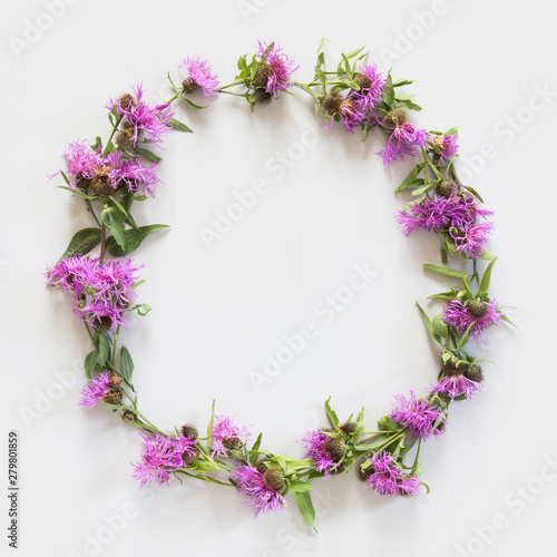 Flowers pattern of purple and pink flowers on grey background. Flat lay, top view. Space for text. © svetlana_cherruty