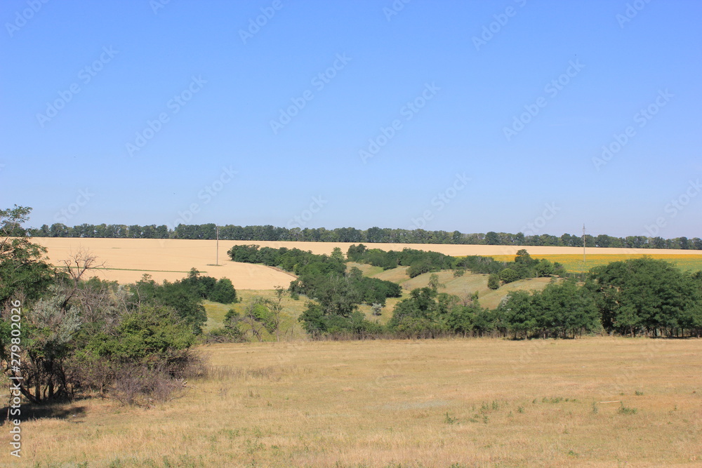 landscape with field and blue sky landscape with field and blue sky