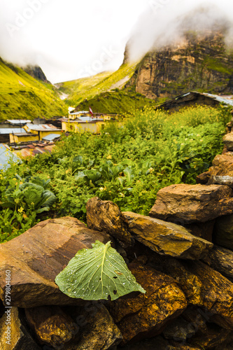 India's last village towards China called MANA near the holy city of Badrinath in Uttarakhand. Beautiful, Nature, Ganges, Ganga , misty , foggy quaint village. Nature portrait, dew on leaf, wallpaper photo