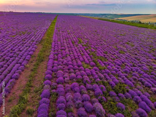 Beautiful image of lavender field Summer sunset landscape. Aerial drone.