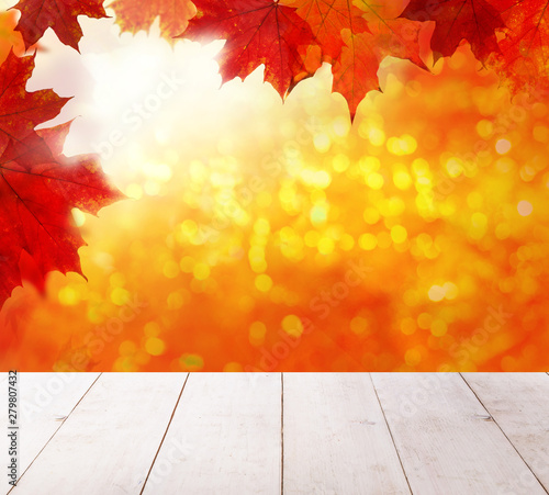 Autumn background. Colorful red fall maple leaves and abstract s