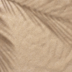 Summer beach day scene with tropical palms shadow on sand background. Minimal sunlight tropical flat lay arrangement.
