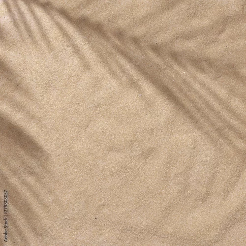 Fototapeta Summer beach day scene with tropical palms shadow on sand background. Minimal sunlight tropical flat lay arrangement.