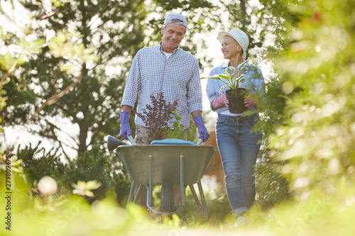 Portrait of happy senior couple walking towards camera in garden pushing cart with plants