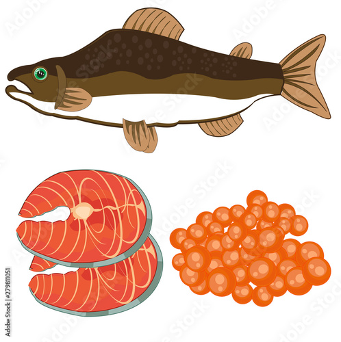 Vector illustration of fish of the sort salmon and meat with roe