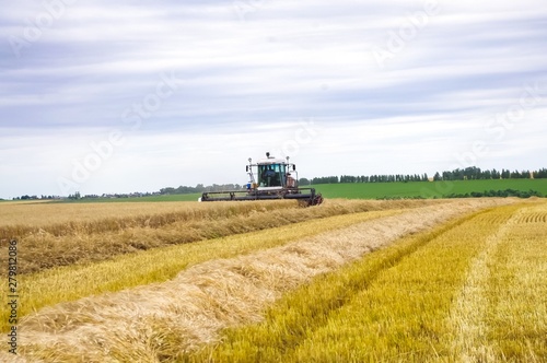 combine harvester working on wheat field © Iryna